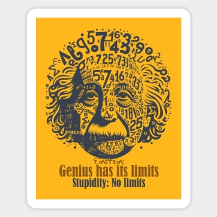 Einstein genius vs stupidity Sticker